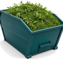 Groencontainer — snoeiafval, blad, gras, struiken